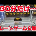 ゲーリラゲリラゲーリラ!! 30分だけ… クレーンゲーム＆雑談ライブ!! LIVE IN METOKYO SHINJUKU