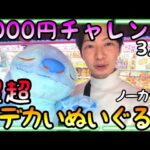 買ったら数万円クラスの新作超超超超どデカいぬいぐるみをノーカット3000円以内で攻略!!