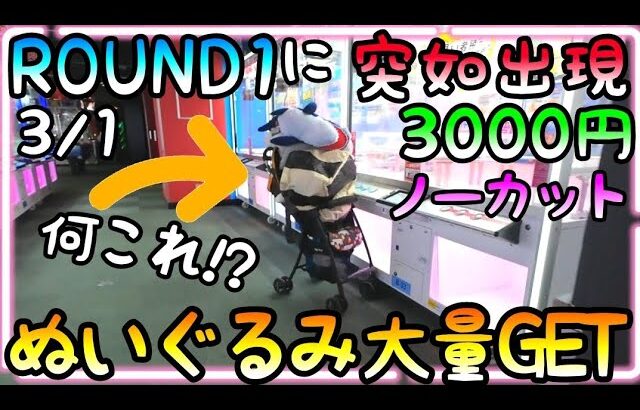 【3000円企画】ROUND1に突如出現するコレ何!?ノーカットでディスプレイGET、攻略GET、ぬいぐるみ大量GET!!