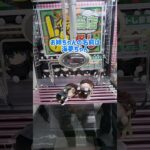 【500円】クレーンゲームで可愛いお姉ちゃん取ってみた #クレーンゲーム  #ufoキャッチャー #ゲームセンター