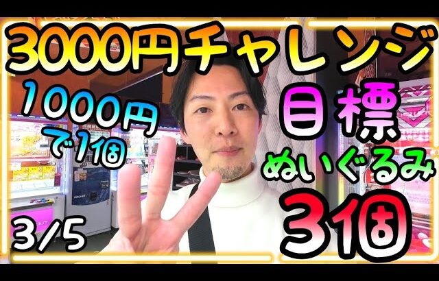 ぬいぐるみGETの目標は3000円で3個!!1個1000円以下で攻略して原価割れを目指す!!