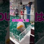 【クレーンゲーム】ROUND○でサンリオ ペックル自力GETなるか⁉️