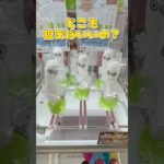 ニョロニョロちゃん獲るよ！　#short #ぬいぐるみ  #UFOキャッチャー #クレーンゲーム