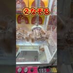 大崩壊します…！ #short #お菓子 #ぬいぐるみ #UFOキャッチャー #クレーンゲーム