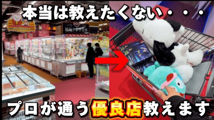 【やばい店見つけた】取れるゲーセンはこういう所です！本当は教えたくない優良店舗見つけました！　#ufoキャッチャー  #クレーンゲーム #clawmachine #日本夾娃娃 ぬいぐるみ　取り方