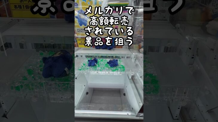 メルカリで、高額転売されている景品を狙ってみた！