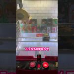 【切り抜き】クレゲの裏事情を教える店員ww【白シロ】#shorts