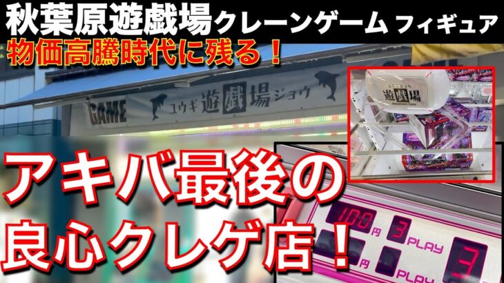 【クレーンゲーム】秋葉原遊戯場！物価高騰のアキバなのにフィギュア100円3プレイも！？　アキバ最後のクレゲ良心店を見てください！【シリーズ：クレゲぶらり遠征】【UFOキャッチャー】