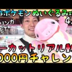 最近激ムズのポケモン3000円チャレンジ!!やっぱり◯◯があると簡単攻略可能!!