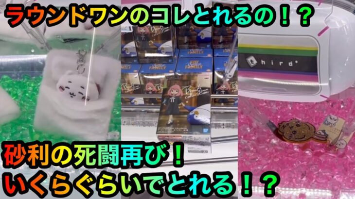 【クレーンゲーム】ちいかわ景品アーニャフィギュアを攻略ゲットしたい調査団！ROUND1【UFOキャッチャー】