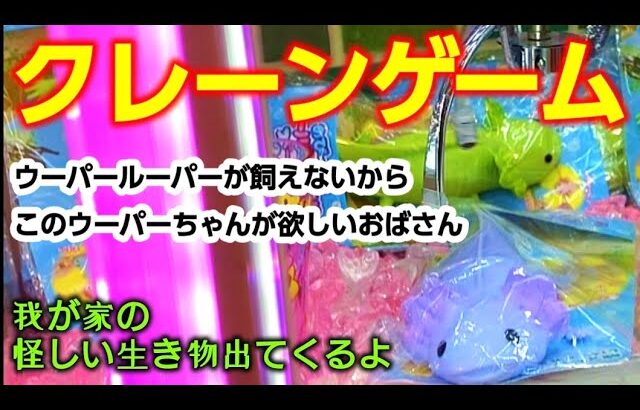 【クレーンゲーム】第２５１話　ウーパールーパーが飼えないからこのウーパーちゃんが欲しいおばさん・最後に我が家の怪しい生き物出てくるよ