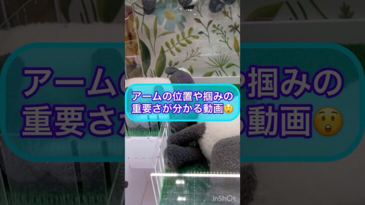 【クレーンゲーム】アーム位置や掴みの重要さが分かる動画‼︎ 楽市楽座でひつじのショーンのぬいぐるみに挑戦‼︎