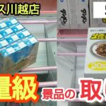 【ベネクス川越店】クレーンゲーム日本一獲れるお店にある重い景品の取り方のコツを紹介