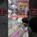 【1000円チャレンジ】クレーンゲームでいくつ獲れるか挑戦！