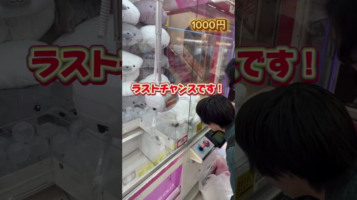 【1000円チャレンジ】クレーンゲームでいくつ獲れるか挑戦！