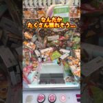 食費が1000円しかなければ、どうします？　#shorts #お菓子 #クレーンゲーム #ufoキャッチャー