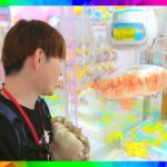 1万円「クレーンゲーム専門店」もってきーな酒々井店１年ぶりに来てみた結果　Arcade in Japan!　claw machine!ちいかわ景品プライズ