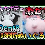 激ムズ60cm級まん丸特大ボディ!!ぬいぐるみ攻略の難易度は大きさではなく形状!!