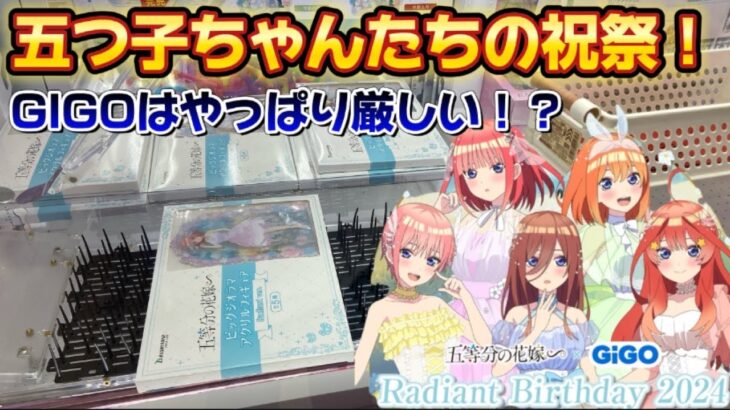 【クレーンゲーム】8割が知らないGIGOの剣山の攻略法は〇〇が正解！！今年もやってきた、五つ子ちゃんたちの祝祭！五等分の花嫁∽ × GiGO Radiant Birthday 2024