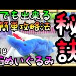 超超どデカいぬいぐるみ攻略の秘訣!!誰でも出来る超簡単攻略法！これだけをやればGET可能!?