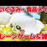 お菓子、ぬいぐるみとかを取るライブ(仮) LIVE IN METOKYO SHINJUKU