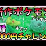 シールド高さMAX設定で新作ポケモンチャレンジ!!マン丸フシギダネと初登場キモリを3000円でGET出来るのか!?