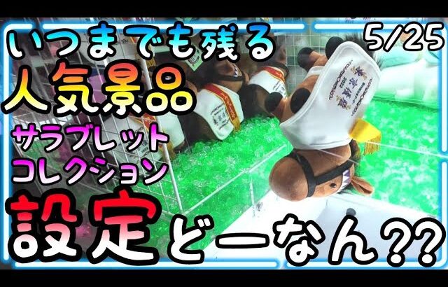 設定はいつ甘くなる??いつまでも残る人気景品をPlayしたら、、最後の最後で大沼がっていた