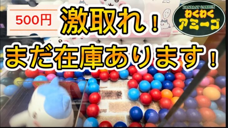 【crane game】　わくわくアミーゴ尾崎店　ハチワレ、おぱんちゅうさぎ獲得動画