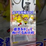 ぬいぐるみに食費を注ぎ込みます#猫ミーム #クレーンゲーム #shorts #short #shortvideo #japaneseclawmachine #ufoキャッチャー #ゲームセンター