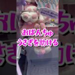 ぬいぐるみ挑戦 #クレーンゲーム #shorts #short #shortvideo #japaneseclawmachine #ufoキャッチャー #ゲームセンター  #クレゲ #おぱんちゅうさぎ