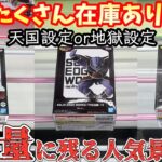 【沼不可避】未だに残る大量の人気景品を取るまでやってみた結果【クレーンゲーム】ベネクス川越 橋渡し【ufoキャッチャー 】