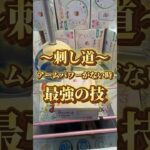 【クレーンゲーム】景品壊しすぎて店員さんに目をつけられた結果… #ufoキャッチャー #ゲームセンター #事故