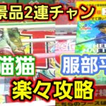 【趣味】人気景品の獲り方教えます。メンシプリクエスト【クレーンゲーム】