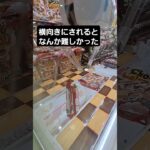 景品の向きで取りにくいとかあるんですね～お義父さん　マスオくん左様#クレーンゲーム