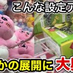 【クレーンゲーム】こんな設定アリなのか？倉庫系ゲーセンで大興奮！【ベネクス大和】【ベネクス川越】