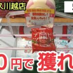 【ベネクス川越店】クレーンゲーム日本一獲れるお店で大量にゲットした景品の取り方のコツを紹介