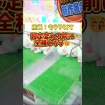 ちいかわがヤバすぎる　店員：もうやめて！　#クレーンゲーム