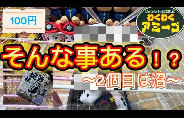 【クレーンゲーム】わくわくアミーゴ尾崎店　ぬいぐるみ(擬似箱)獲得動画