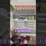 【切り抜き】脅したら急に動かしてくれた店員ww【白シロ】#shorts