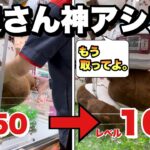 【ちいかわクレーンゲーム】やばいwwwアシストをミスしたら、レベル100の神アシストに切り替えられたwwwちいかわカブトムシBIGぬいぐるみ初日プレイ♪♪