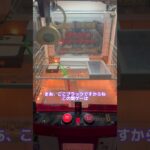 【クレーンゲーム】久しぶりに東北の闇ゲーセン行ってみたらwww⑪【UFOキャッチャー】#shorts #切り抜き