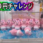 1000円で確率機は攻略できるのか❓#クレーンゲーム  #ufoキャッチャー