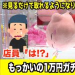 テストプレイした後に1万円チャレンジしたら何個取れる？【クレーンゲーム・UFOキャッチャー】