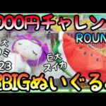 3000円で超BIGぬいぐるみ何個GET出来る!?ROUND1でとりあえずどデカい景品を狙ってみた！