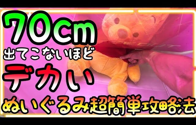 取り出し口に引っかかるほど超どデカい70cmぬいぐるみ反則簡単攻略法!!日々巨大化していくぬいぐるみ達、、