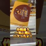 初心者必見9割成功する技　クレーンゲーム上手くなりたかったら必ず見てください　#クレーンゲーム #ゲームセンター #ufoキャッチャー #ufoキャッチャー攻略