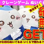 【確率無視】ちいかわクレーンゲーム 最新プライズ！　誕生日なちいかわ BIGぬいぐるみ　天井無視で自力ゲットに挑戦！ここを狙えば取れます！【UFOキャッチャー／アドアーズ】