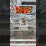 【クレーンゲーム】弱アームでどう獲る?!新宿歌舞伎町GiGO【NARUTO】#クレーンゲーム #クレーンゲーム攻略 #ufoキャッチャー #gigo #naruto #ナルト #フィギュア