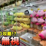 三本爪台で確率無視して巨大ぬいぐるみ取りまくってみた【UFOキャッチャー／クレーンゲーム】