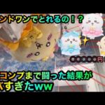 ちいかわぬいぐるみラウンドワン攻略！！してとりたいが地獄の闇が待っていた、、【クレーンゲーム】【UFOキャッチャー】